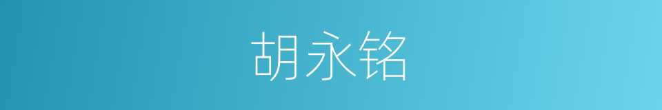 胡永铭的同义词