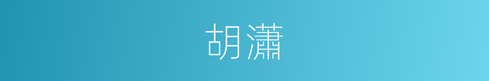 胡瀟的同義詞