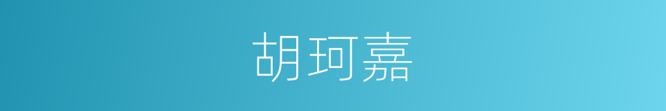 胡珂嘉的同义词