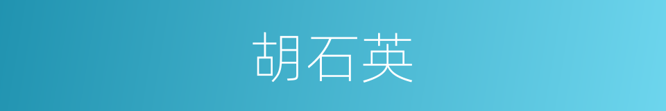 胡石英的同义词
