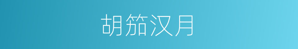 胡笳汉月的同义词