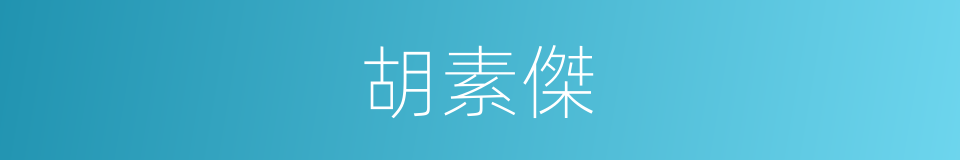 胡素傑的同義詞