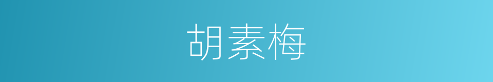 胡素梅的同义词