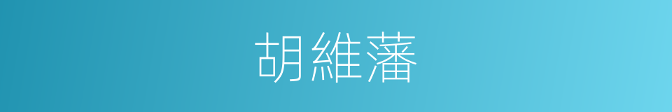 胡維藩的同義詞