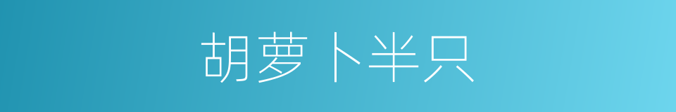 胡萝卜半只的同义词
