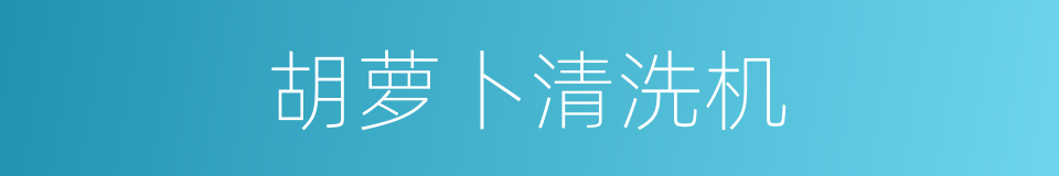 胡萝卜清洗机的同义词
