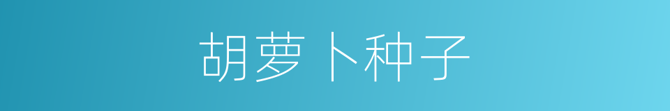 胡萝卜种子的同义词