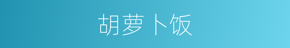 胡萝卜饭的同义词