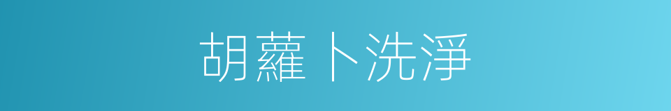 胡蘿卜洗淨的同義詞