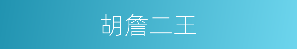 胡詹二王的同义词