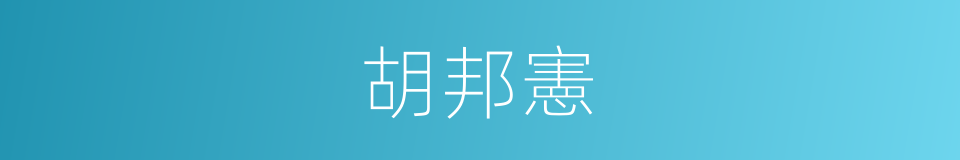 胡邦憲的同義詞