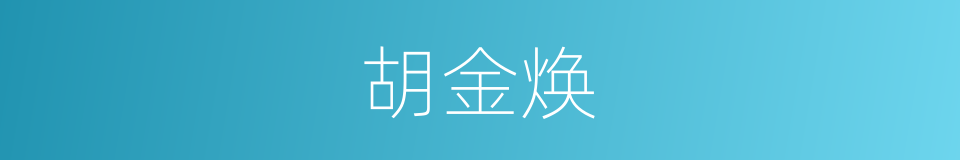 胡金焕的同义词
