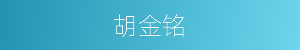 胡金铭的同义词