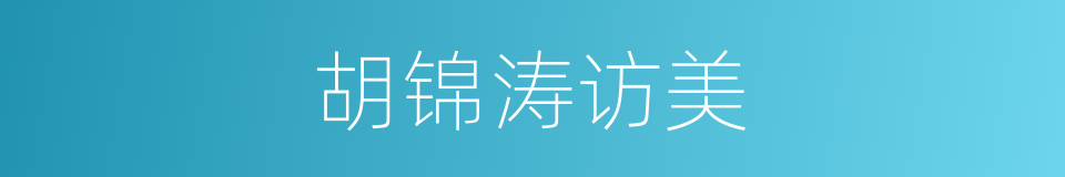 胡锦涛访美的同义词