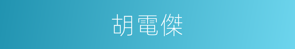 胡電傑的同義詞