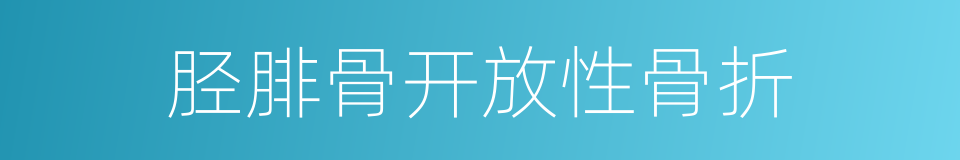 胫腓骨开放性骨折的同义词