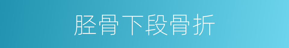 胫骨下段骨折的同义词