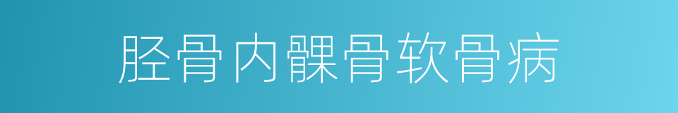 胫骨内髁骨软骨病的同义词