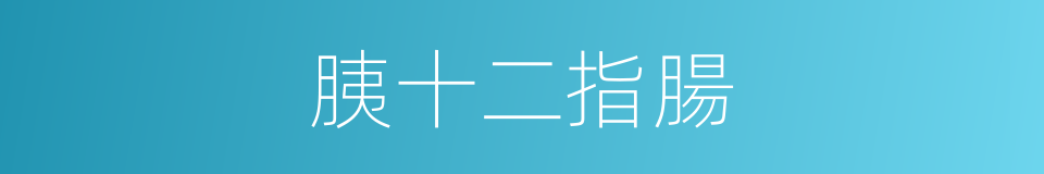 胰十二指腸的同義詞