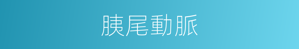 胰尾動脈的同義詞