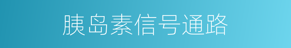 胰岛素信号通路的同义词