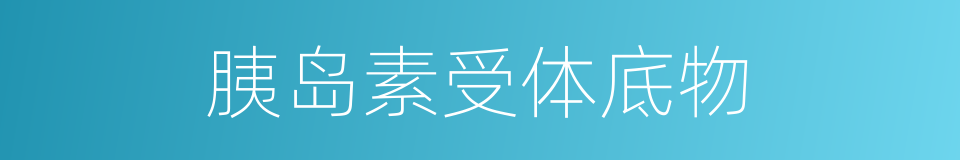 胰岛素受体底物的同义词