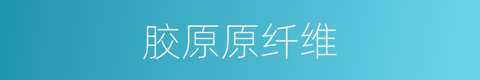 胶原原纤维的同义词