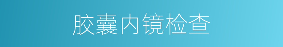 胶囊内镜检查的同义词