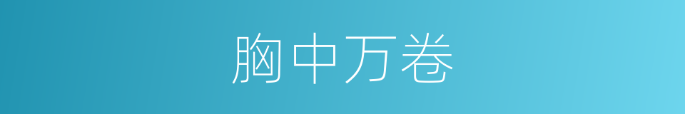 胸中万卷的意思