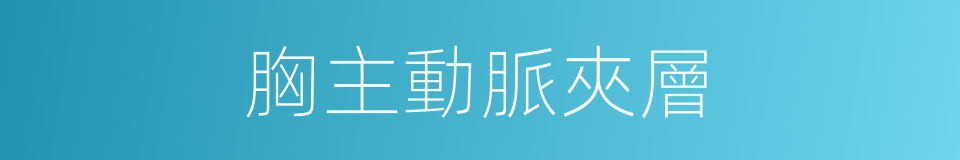 胸主動脈夾層的同義詞