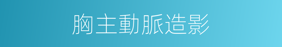 胸主動脈造影的同義詞