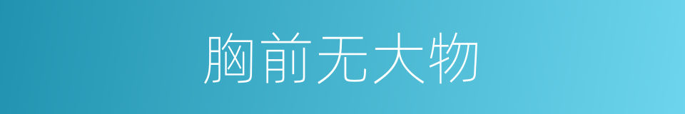 胸前无大物的同义词