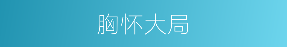 胸怀大局的意思