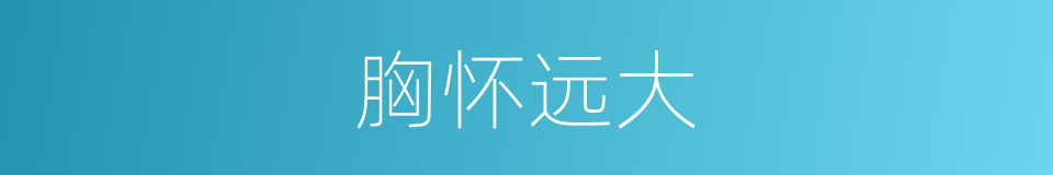 胸怀远大的同义词