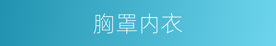 胸罩内衣的同义词