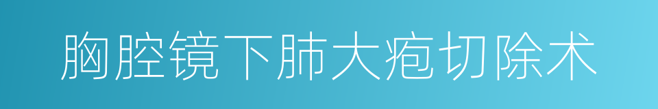 胸腔镜下肺大疱切除术的同义词