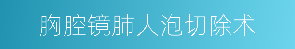 胸腔镜肺大泡切除术的同义词
