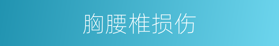 胸腰椎损伤的同义词