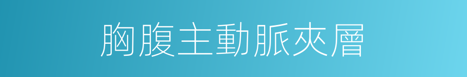 胸腹主動脈夾層的同義詞
