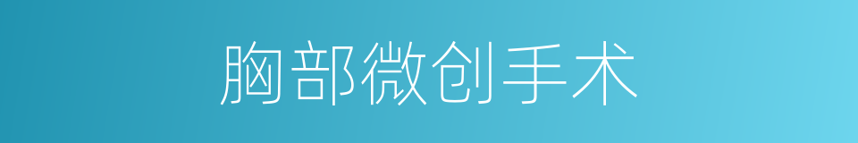 胸部微创手术的同义词