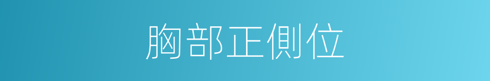 胸部正側位的同義詞