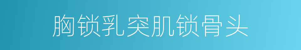胸锁乳突肌锁骨头的同义词