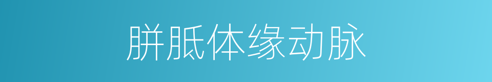 胼胝体缘动脉的同义词
