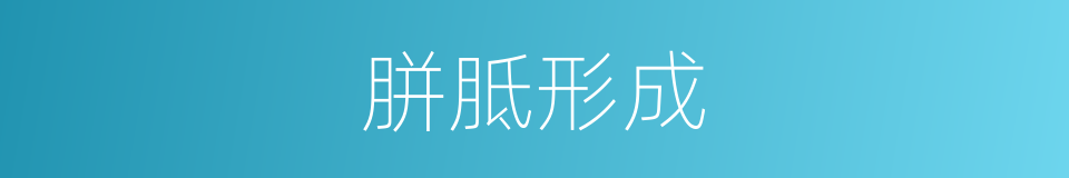 胼胝形成的同义词