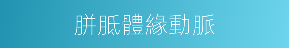 胼胝體緣動脈的同義詞