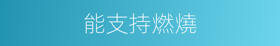 能支持燃燒的同義詞