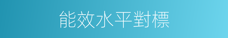 能效水平對標的同義詞