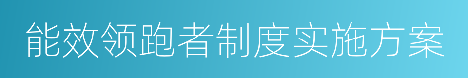 能效领跑者制度实施方案的同义词