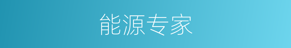 能源专家的同义词