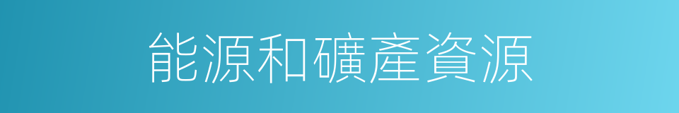 能源和礦產資源的同義詞